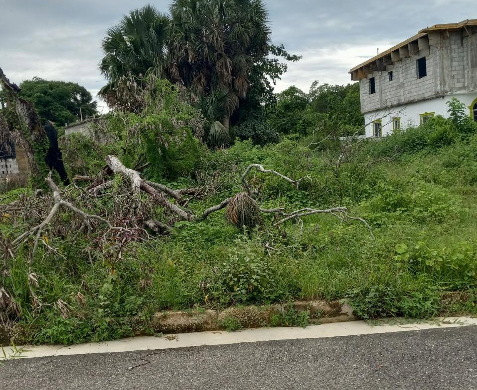 Seventh image of 38 Corby Estate, Lacovia in Lacovia, St. Elizabeth, Jamaica - property is For Sale