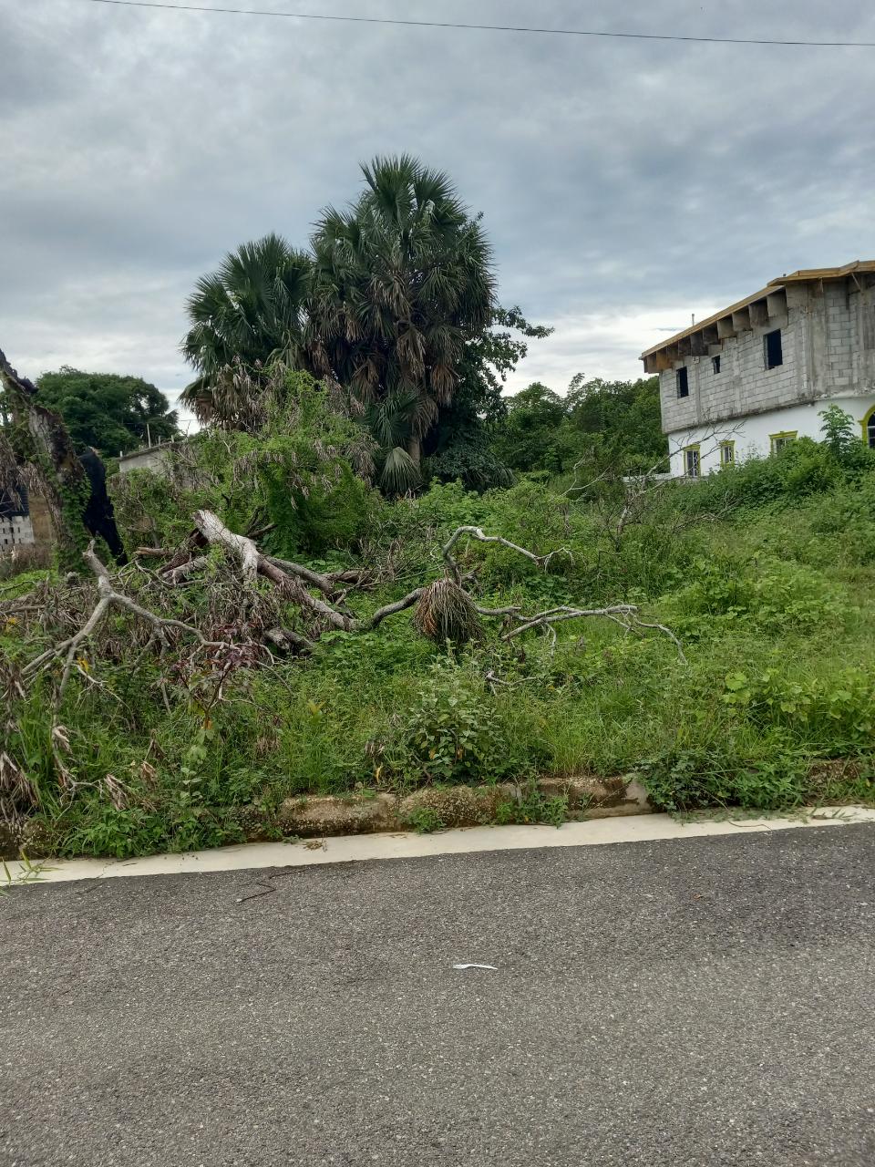 Seventh image of 38 Corby Estate, Lacovia in Lacovia, St. Elizabeth, Jamaica - property is For Sale