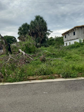 Seventh image of 38 Corby Estate, Lacovia in Lacovia, St. Elizabeth, Jamaica - property is For Sale