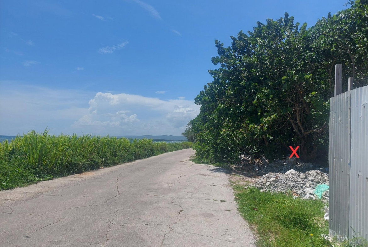 Second image of Lot 55 Flamingo Beach, Trelawny in Falmouth, Trelawny, Jamaica - property is For Sale