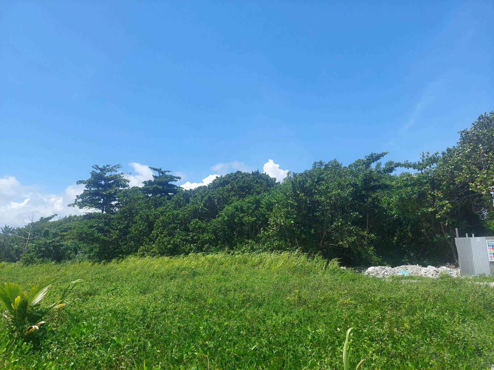 Third image of Lot 55 Flamingo Beach, Trelawny in Falmouth, Trelawny, Jamaica - property is For Sale