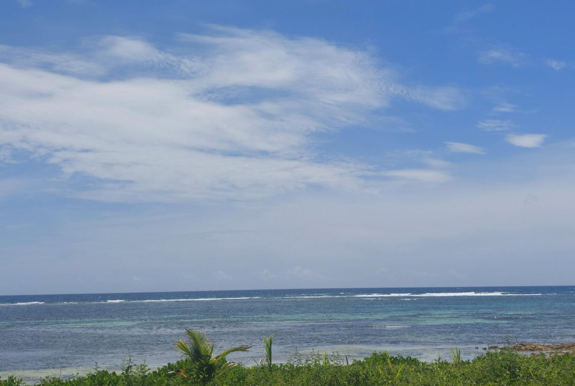 Fourth image of Lot 55 Flamingo Beach, Trelawny in Falmouth, Trelawny, Jamaica - property is For Sale
