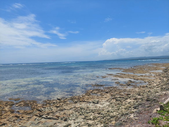 First image of Lot 55 Flamingo Beach, Trelawny in Falmouth, Trelawny, Jamaica - property is For Sale