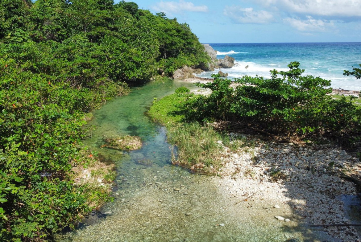 Fourth image of Hector's River in Hectors River, Portland, Jamaica - property is For Sale