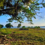 First image of Harbour Head, Port Morant in Port Morant, St. Thomas, Jamaica - property is For Sale