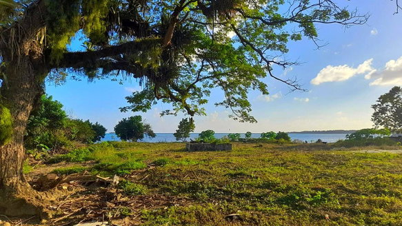 First image of Harbour Head, Port Morant in Port Morant, St. Thomas, Jamaica - property is For Sale