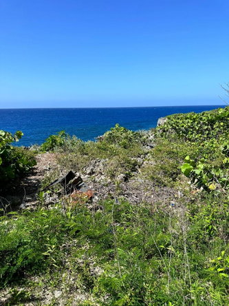 Second image of Part of Liberty Castle , in Oracabessa, St. Mary, Jamaica - property is For Sale
