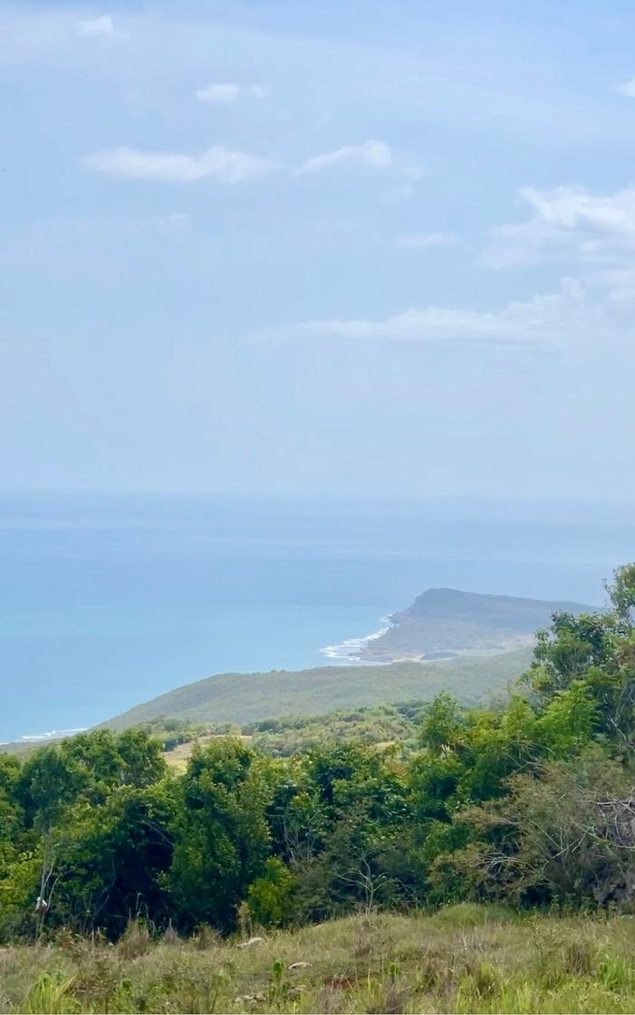 Fifth image of Seaview, Southfield in Southfield, St. Elizabeth, Jamaica - property is For Sale