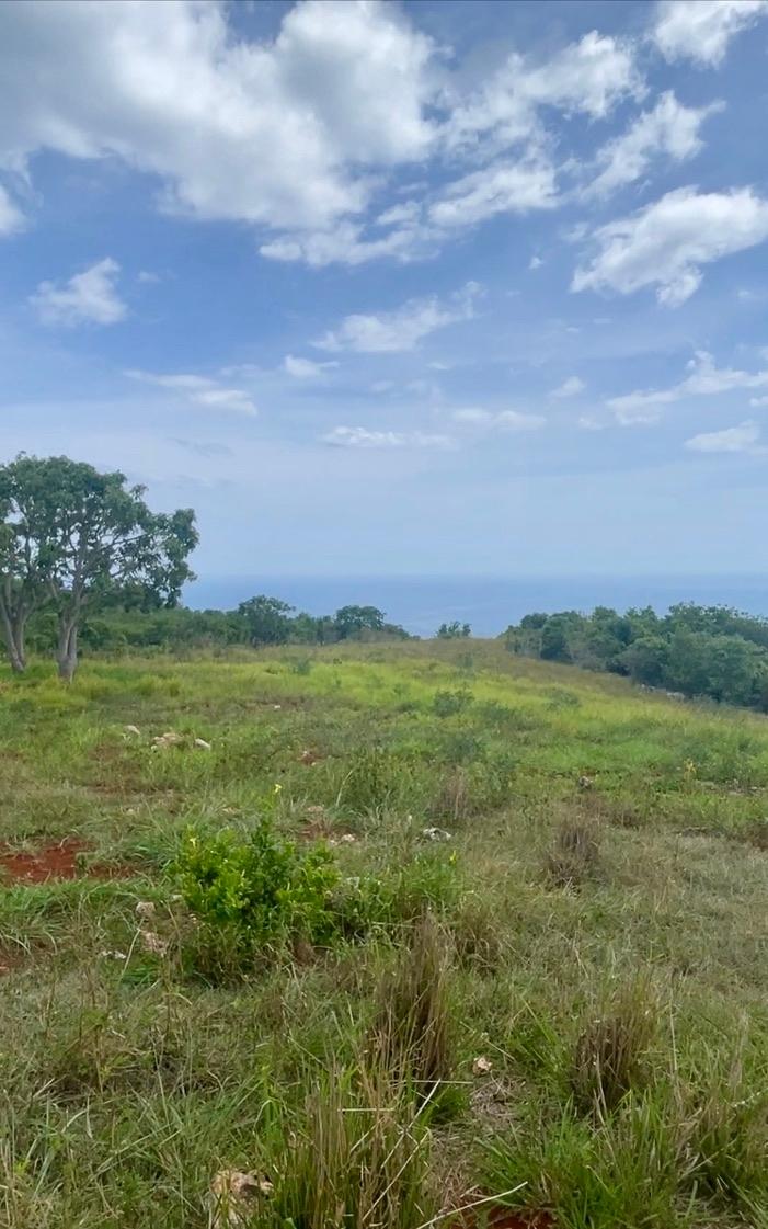 Seventh image of Seaview, Southfield in Southfield, St. Elizabeth, Jamaica - property is For Sale