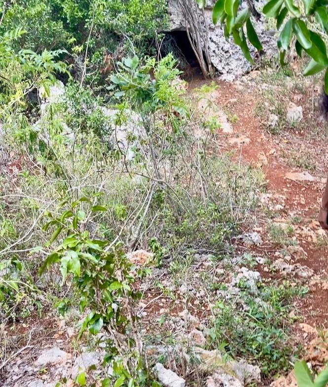 Eighth image of Seaview, Southfield in Southfield, St. Elizabeth, Jamaica - property is For Sale