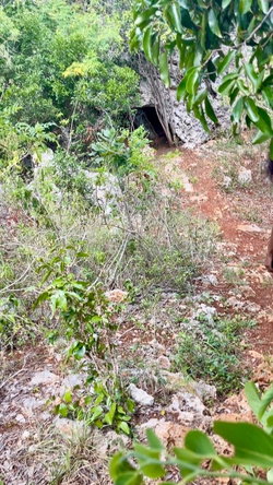 Eighth image of Seaview, Southfield in Southfield, St. Elizabeth, Jamaica - property is For Sale