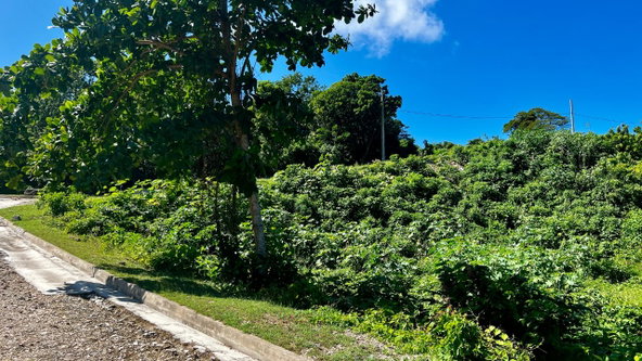 Second image of 363 Duncans, Tamarind Ridge in DUNCANS HILL, Trelawny, Jamaica - property is For Sale