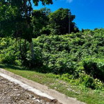First image of 363 Duncans, Tamarind Ridge in DUNCANS HILL, Trelawny, Jamaica - property is For Sale