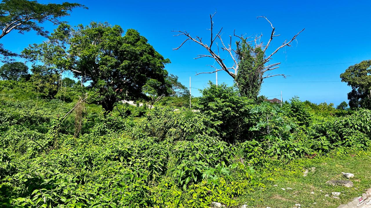 Third image of 363 Duncans, Tamarind Ridge in DUNCANS HILL, Trelawny, Jamaica - property is For Sale