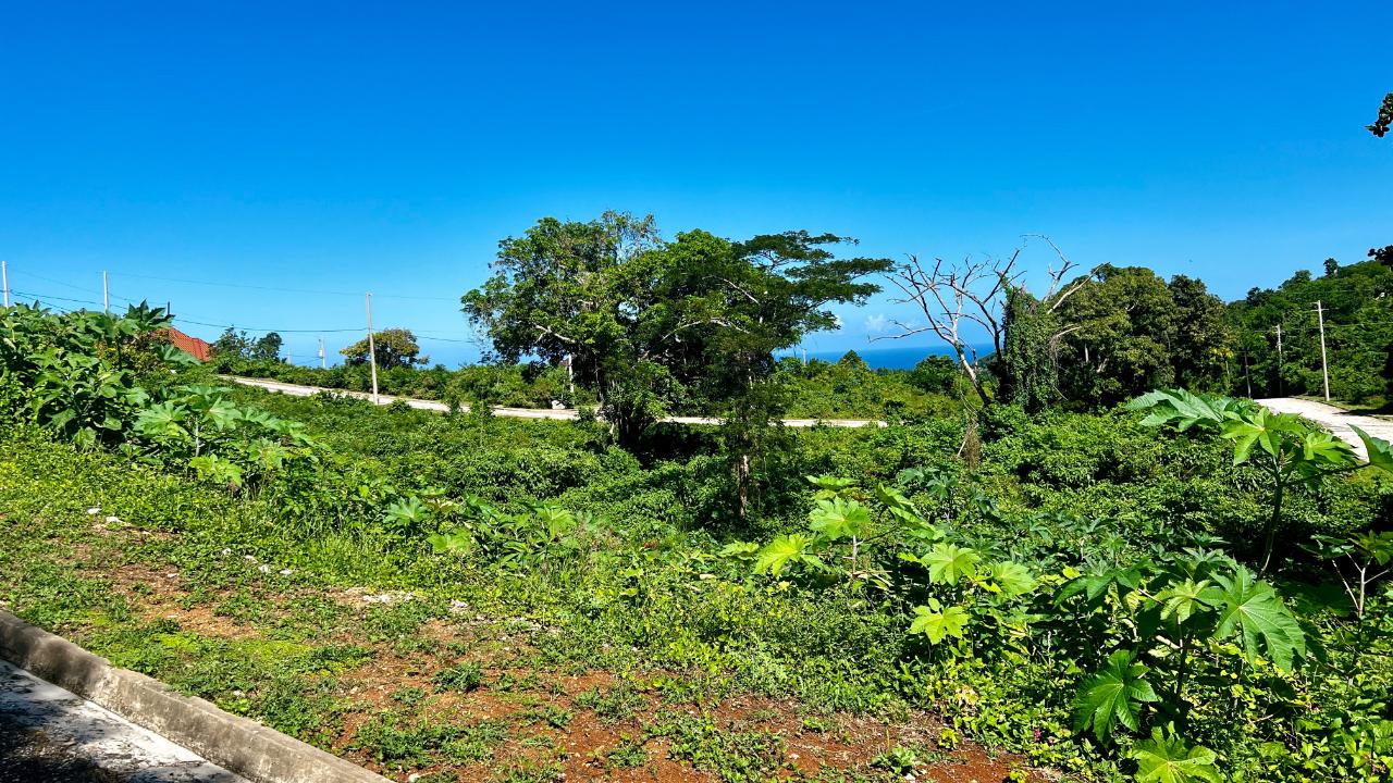 Fourth image of 363 Duncans, Tamarind Ridge in DUNCANS HILL, Trelawny, Jamaica - property is For Sale