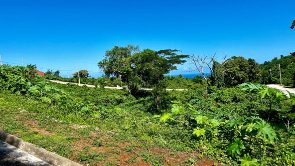 Fourth image of 363 Duncans, Tamarind Ridge in DUNCANS HILL, Trelawny, Jamaica - property is For Sale