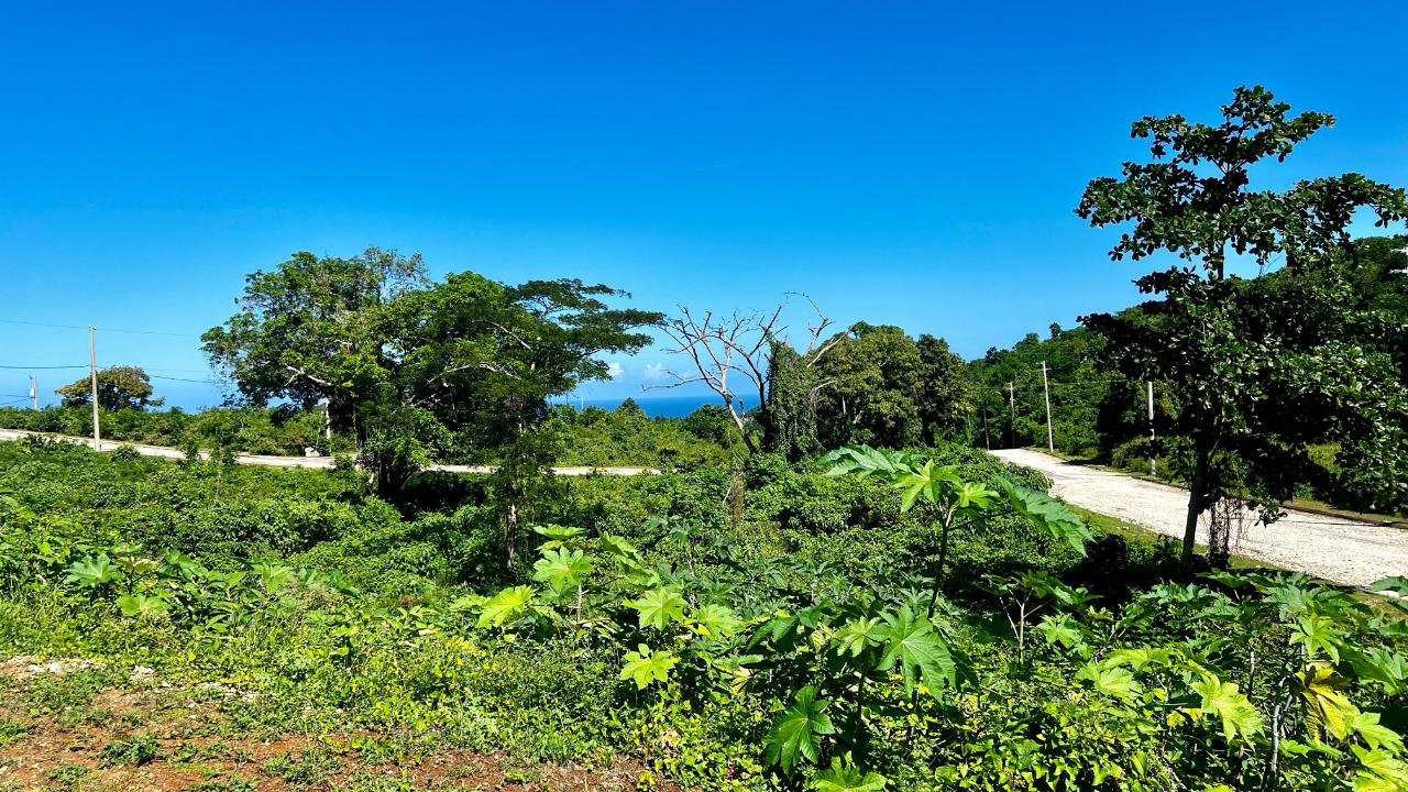 Fifth image of 363 Duncans, Tamarind Ridge in DUNCANS HILL, Trelawny, Jamaica - property is For Sale