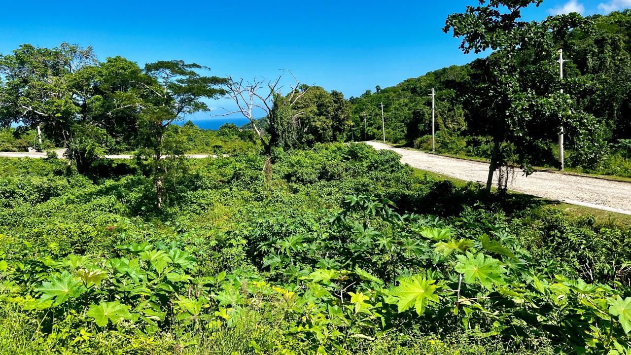 Sixth image of 363 Duncans, Tamarind Ridge in DUNCANS HILL, Trelawny, Jamaica - property is For Sale