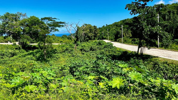 Sixth image of 363 Duncans, Tamarind Ridge in DUNCANS HILL, Trelawny, Jamaica - property is For Sale