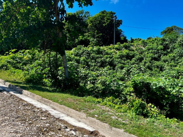 First image of 363 Duncans, Tamarind Ridge in DUNCANS HILL, Trelawny, Jamaica - property is For Sale