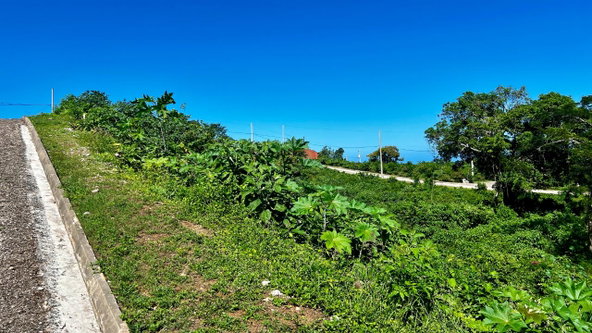 Seventh image of 363 Duncans, Tamarind Ridge in DUNCANS HILL, Trelawny, Jamaica - property is For Sale