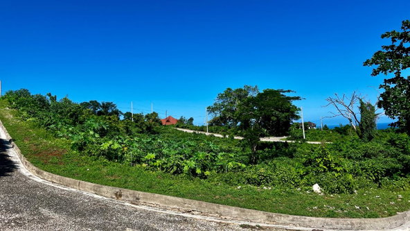 Eighth image of 363 Duncans, Tamarind Ridge in DUNCANS HILL, Trelawny, Jamaica - property is For Sale