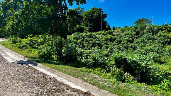 First image of 363 Duncans, Tamarind Ridge in DUNCANS HILL, Trelawny, Jamaica - property is For Sale