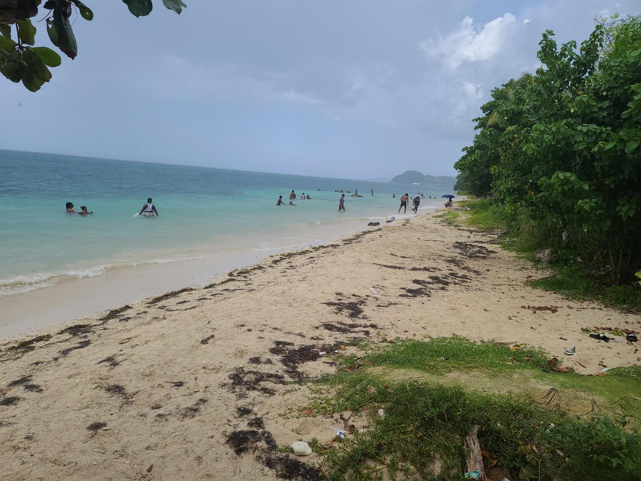 Seaview-Residential-Lots-for-Sale-in-Hopewell-Hanover Second image of Seaview in Hopewell, Hanover, Jamaica - property is For Sale