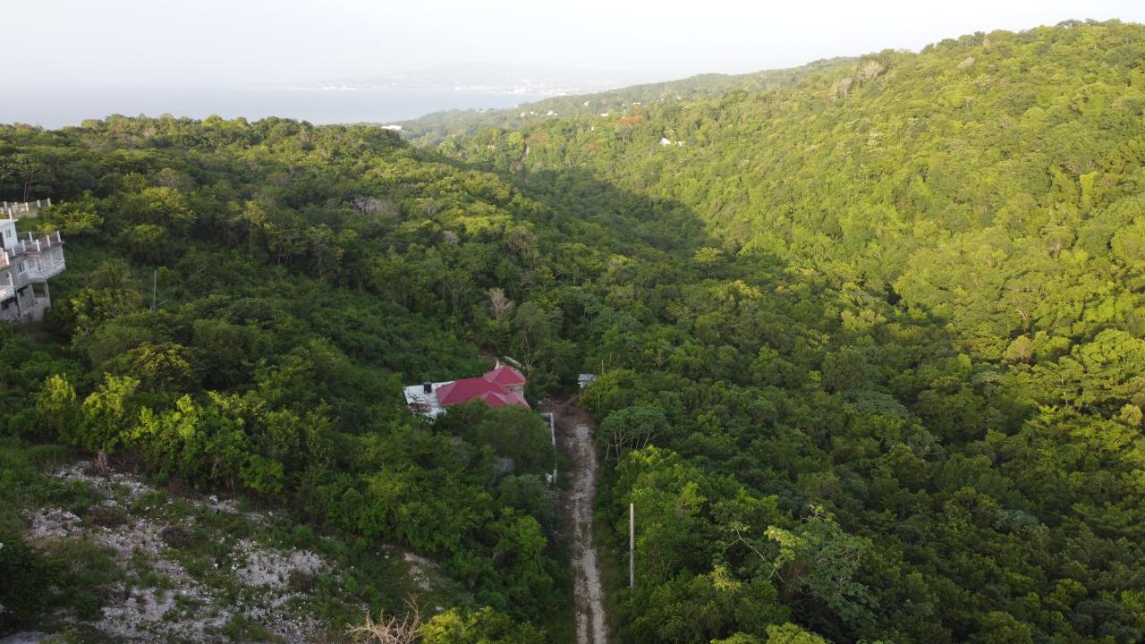 Seaview-Residential-Lots-for-Sale-in-Hopewell-Hanover Eleventh image of Seaview in Hopewell, Hanover, Jamaica - property is For Sale