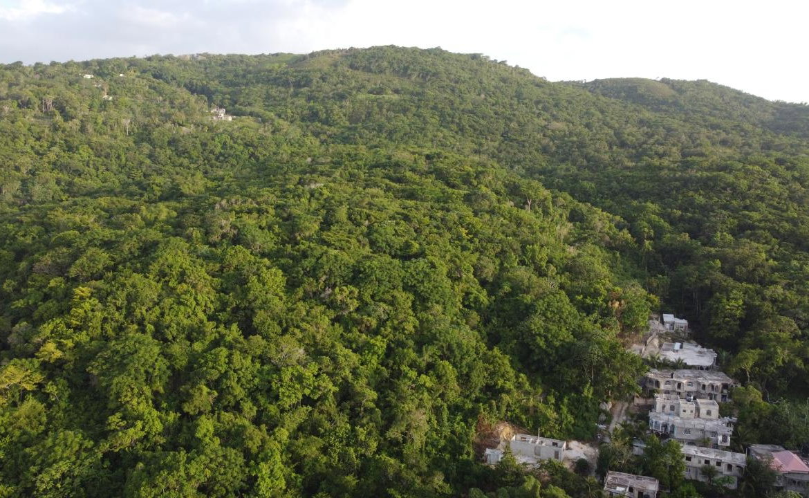 Fourteenth image of Seaview in Hopewell, Hanover, Jamaica - property is For Sale