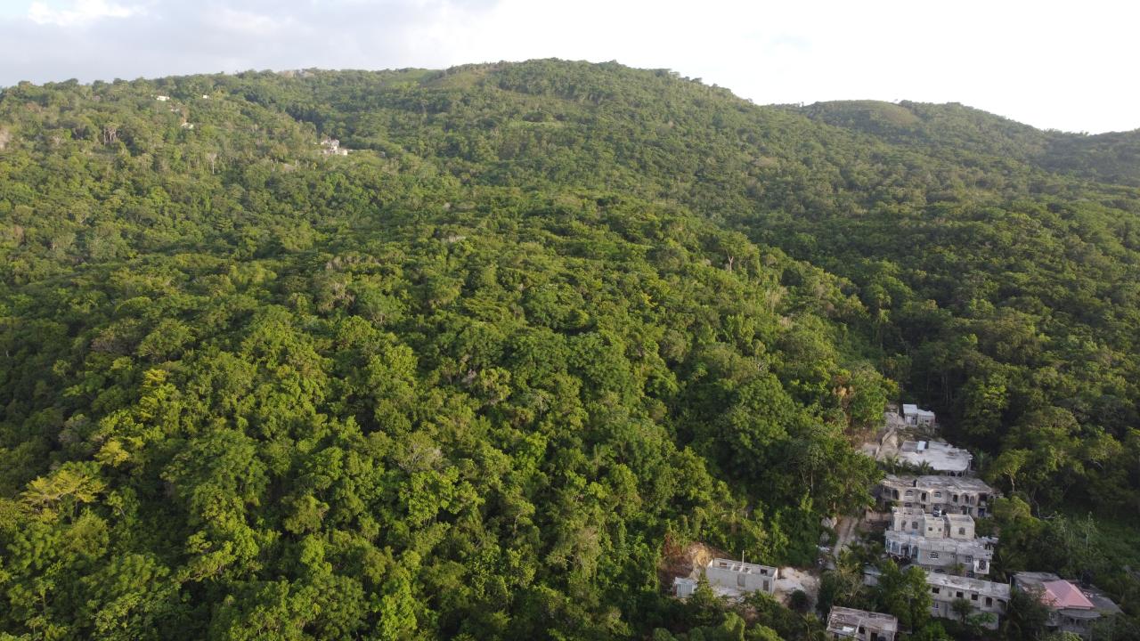 Seaview-Residential-Lots-for-Sale-in-Hopewell-Hanover Fourteenth image of Seaview in Hopewell, Hanover, Jamaica - property is For Sale