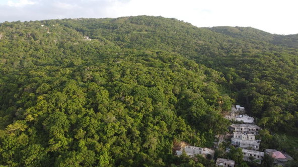 Fourteenth image of Seaview in Hopewell, Hanover, Jamaica - property is For Sale