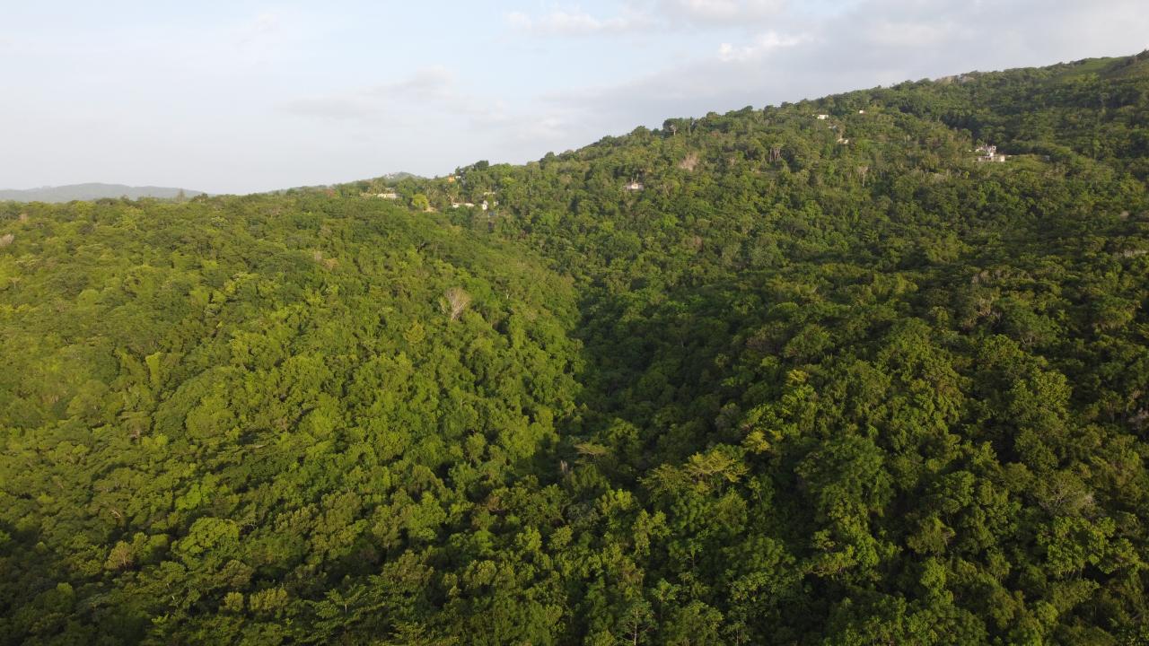 Seaview-Residential-Lots-for-Sale-in-Hopewell-Hanover Fifteenth image of Seaview in Hopewell, Hanover, Jamaica - property is For Sale