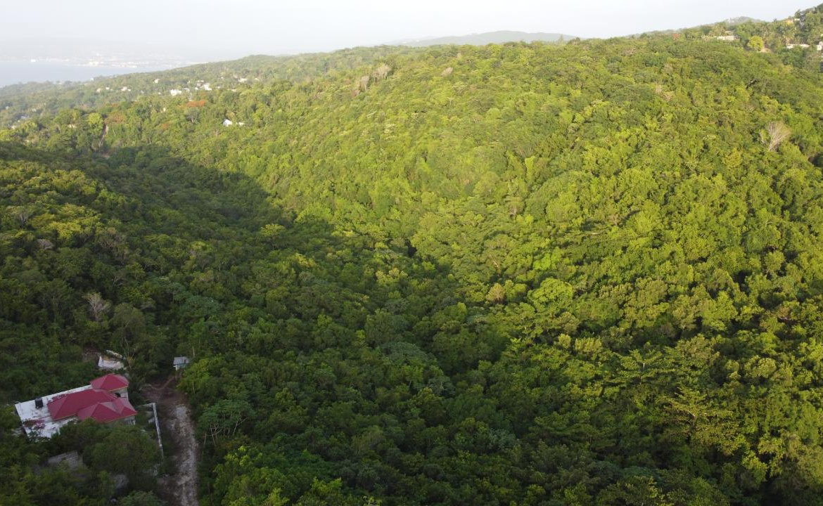 Sixteenth image of Seaview in Hopewell, Hanover, Jamaica - property is For Sale