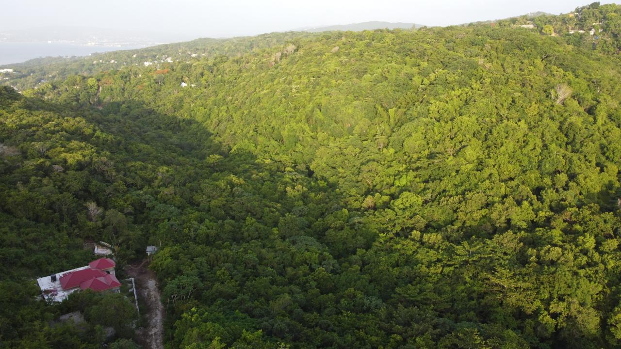 Seaview-Residential-Lots-for-Sale-in-Hopewell-Hanover Sixteenth image of Seaview in Hopewell, Hanover, Jamaica - property is For Sale