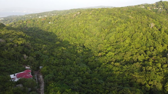 Sixteenth image of Seaview in Hopewell, Hanover, Jamaica - property is For Sale