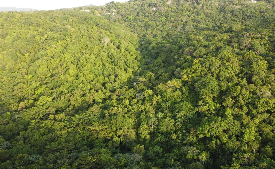 Seventeenth image of Seaview in Hopewell, Hanover, Jamaica - property is For Sale