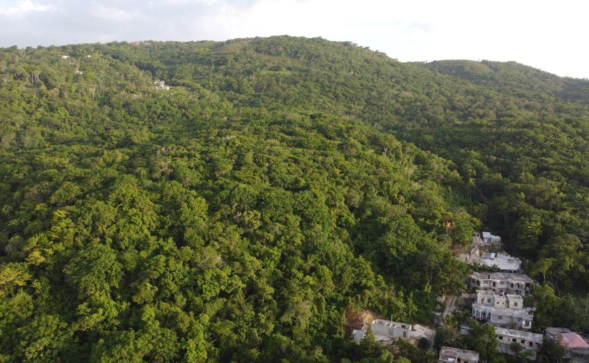 Eighteenth image of Seaview in Hopewell, Hanover, Jamaica - property is For Sale
