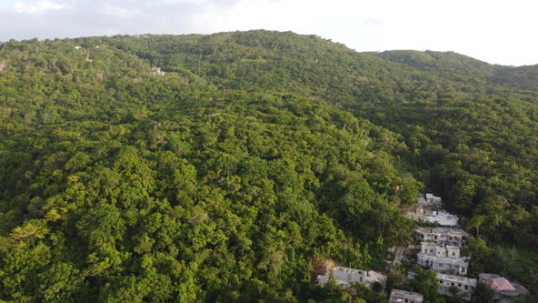 Eighteenth image of Seaview in Hopewell, Hanover, Jamaica - property is For Sale