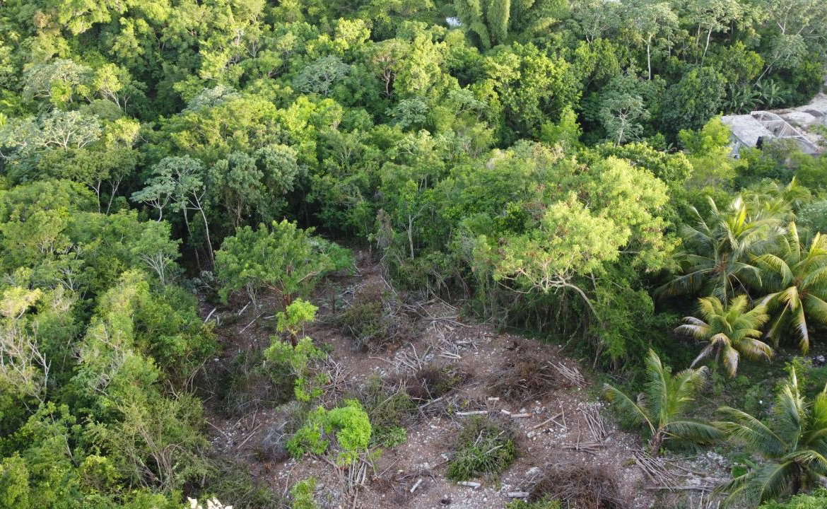 Twentieth image of Seaview in Hopewell, Hanover, Jamaica - property is For Sale