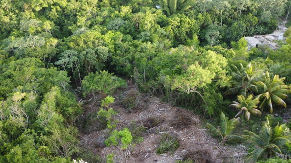 Twentieth image of Seaview in Hopewell, Hanover, Jamaica - property is For Sale