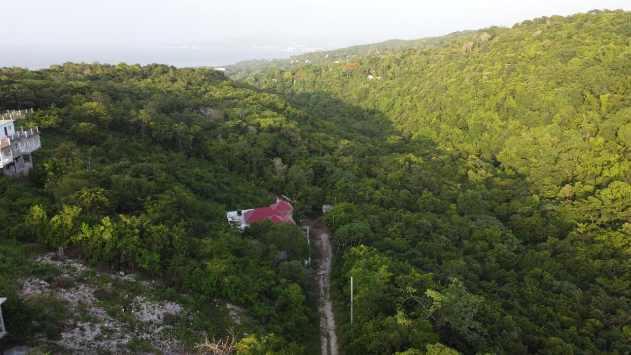 Seaview-Residential-Lots-for-Sale-in-Hopewell-Hanover Third image of Seaview in Hopewell, Hanover, Jamaica - property is For Sale