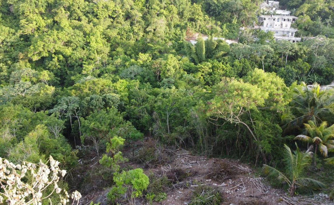 Twenty-Second image of Seaview in Hopewell, Hanover, Jamaica - property is For Sale
