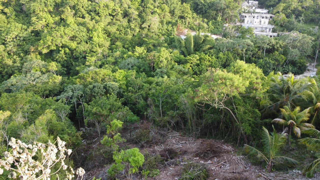 Seaview-Residential-Lots-for-Sale-in-Hopewell-Hanover Twenty-Second image of Seaview in Hopewell, Hanover, Jamaica - property is For Sale