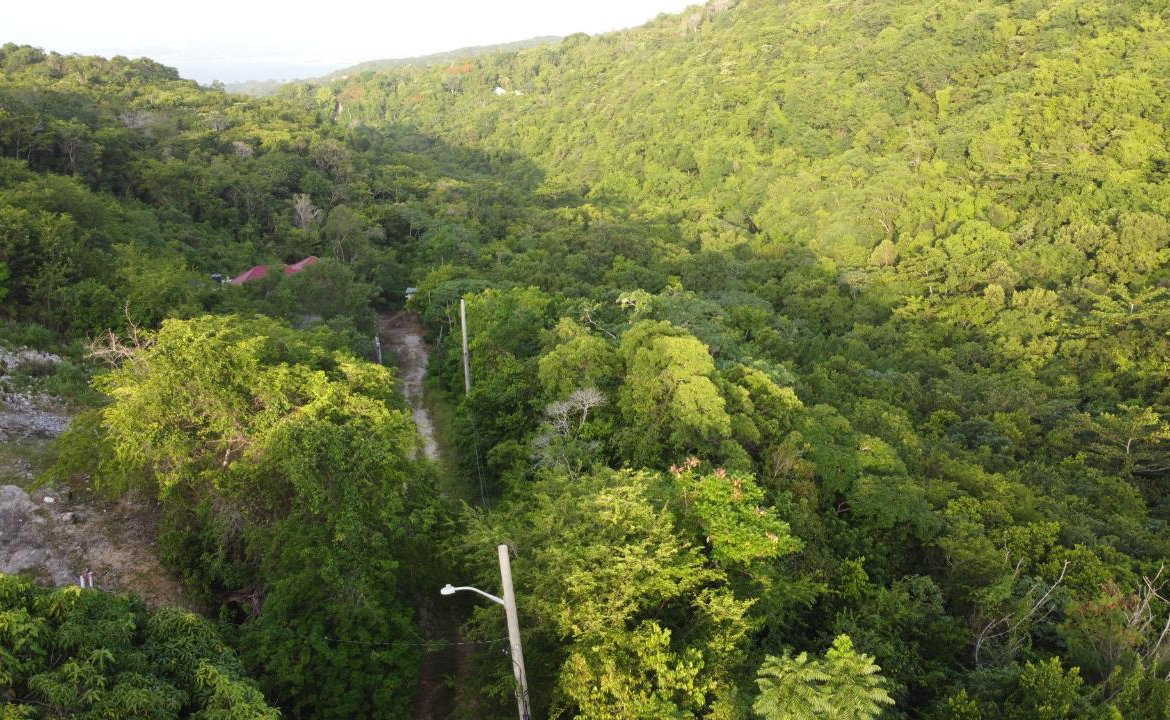 Twenty-Third image of Seaview in Hopewell, Hanover, Jamaica - property is For Sale
