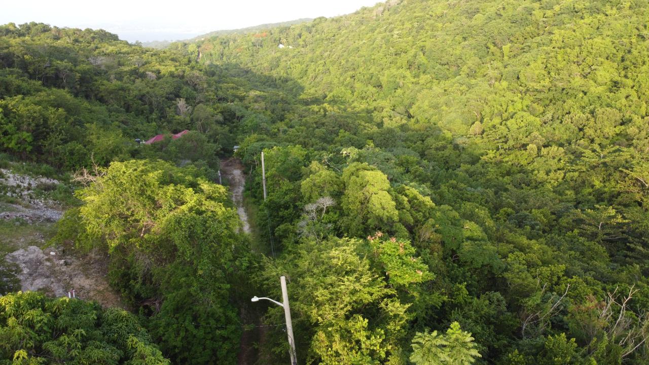 Seaview-Residential-Lots-for-Sale-in-Hopewell-Hanover Twenty-Third image of Seaview in Hopewell, Hanover, Jamaica - property is For Sale