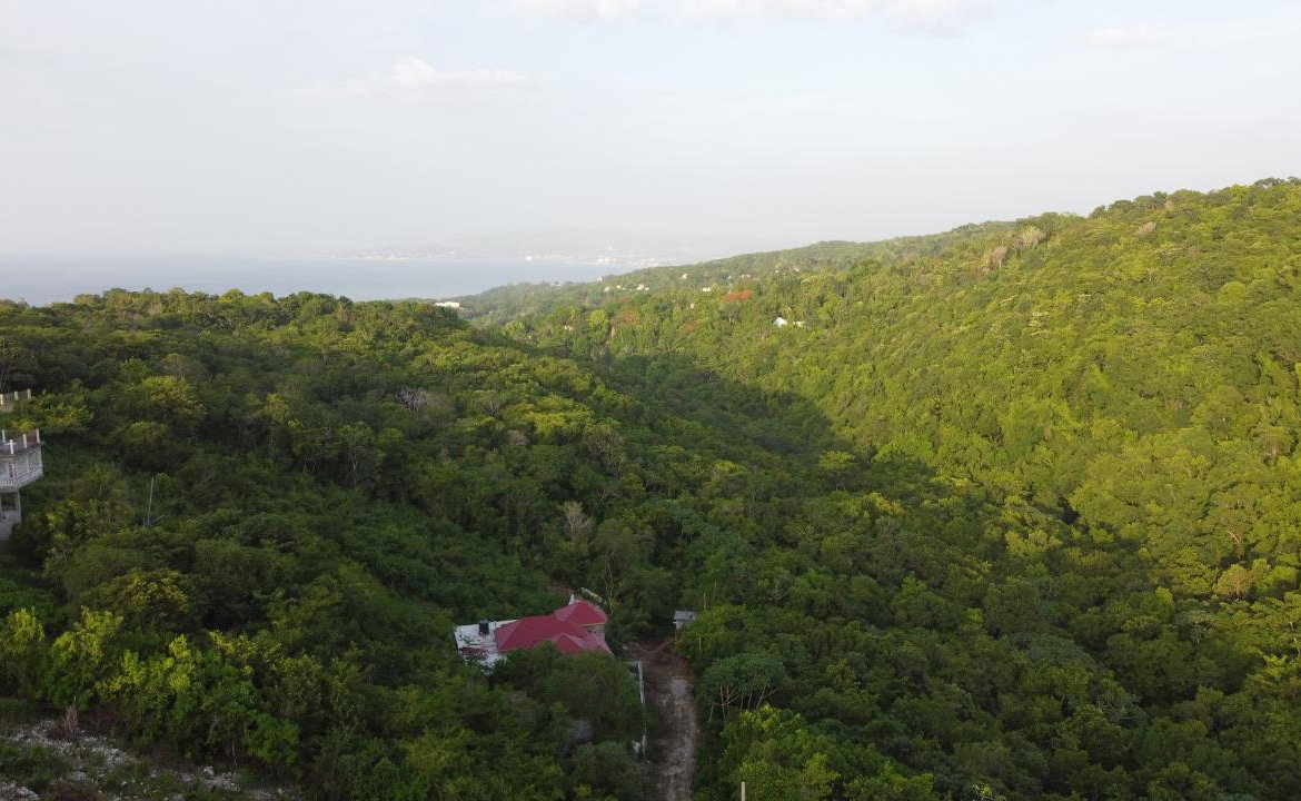 Twenty-Fifth image of Seaview in Hopewell, Hanover, Jamaica - property is For Sale