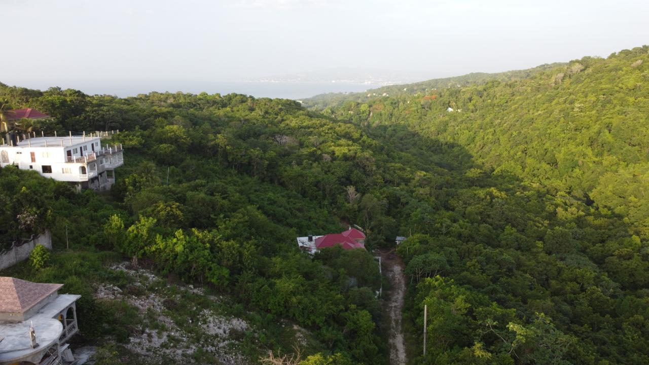Seaview-Residential-Lots-for-Sale-in-Hopewell-Hanover First image of Seaview in Hopewell, Hanover, Jamaica - property is For Sale