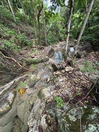 Second image of Lots 2 & 3 Lloyds Road in Lloyds, St. Thomas, Jamaica - property is For Sale