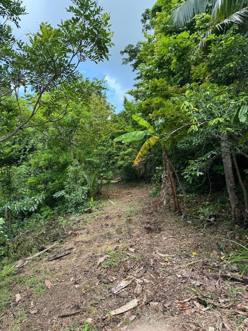 Fourth image of Lots 2 & 3 Lloyds Road in Lloyds, St. Thomas, Jamaica - property is For Sale